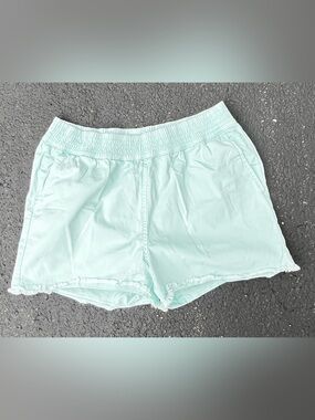 Vineyard Vines Pale Mint Green Elastic Waist Beach Shorts Raw Hem Size Small